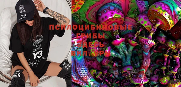 мяу мяу мука Магас