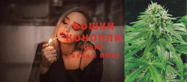 сатива Майский