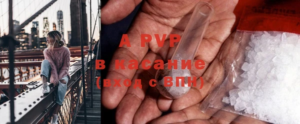 мяу мяу мука Магас
