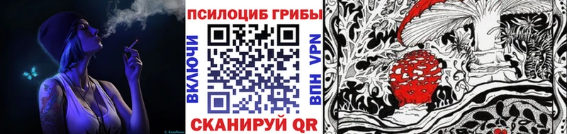 Псилоцибиновые грибы мухоморы  гидра ссылки  Таштагол 